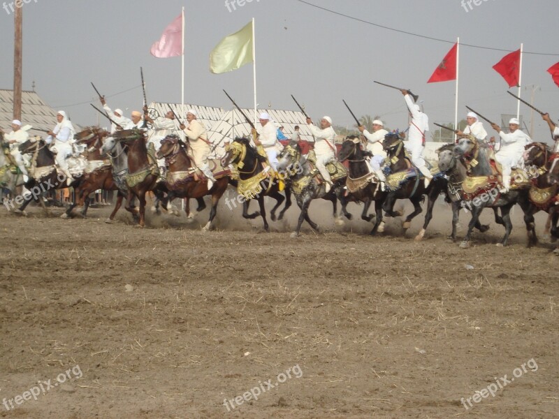 Horses Race Gun Free Photos