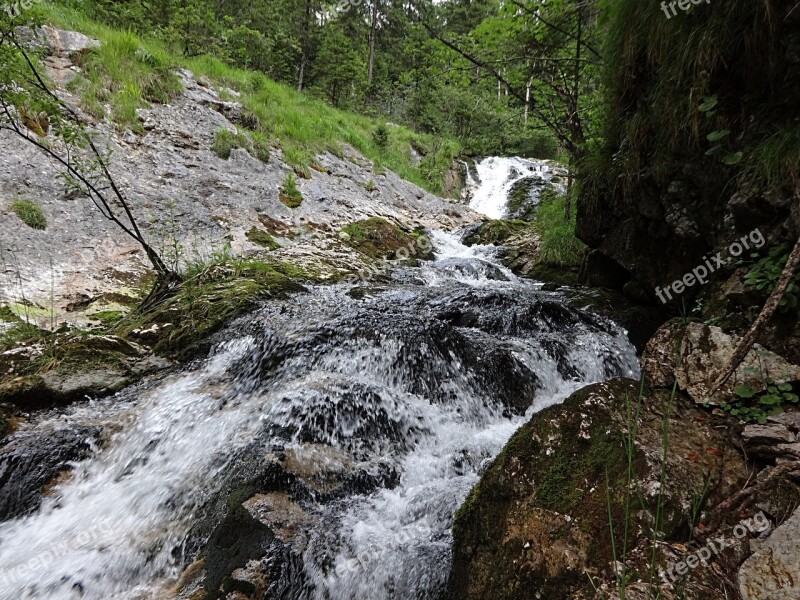 White Bach White Brook Clammy Bach Mountain Stream Torrent