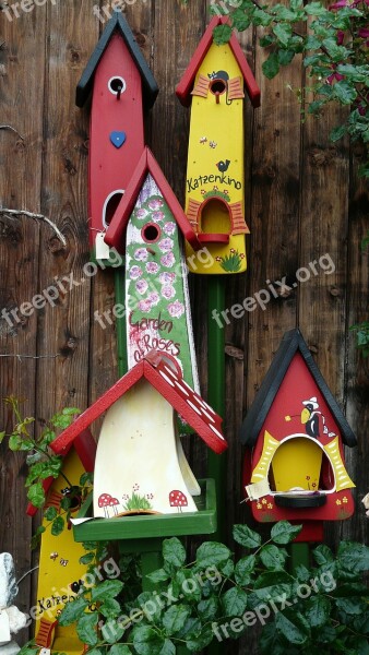 Aviary Colorful Bird Feeder Color Free Photos