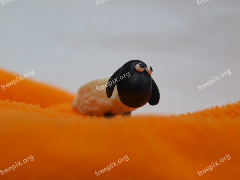 Toy Sheep Macro Miniature Cute