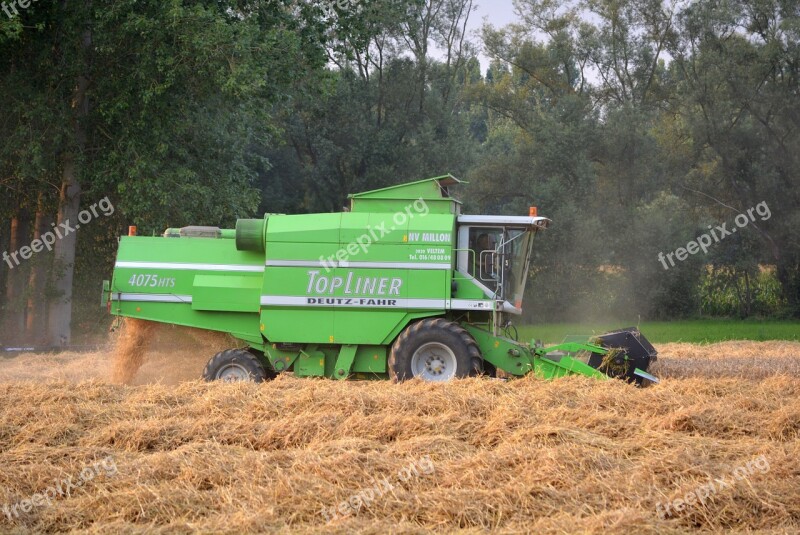 Pikdorser Straw Harvest Grain Agriculture