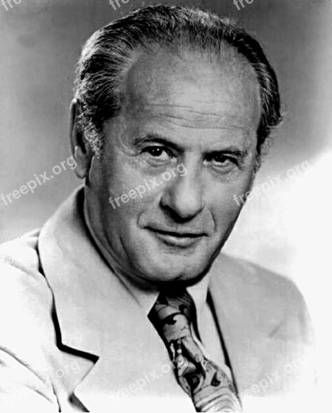 Eli Wallach Actor Film Television Stage