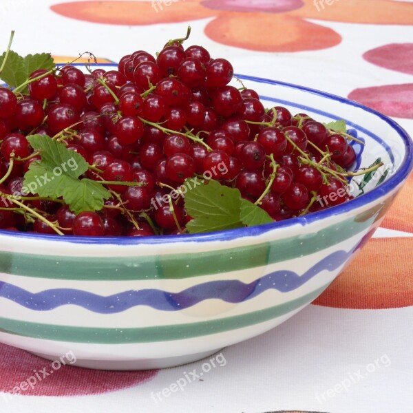 Currants Red Red Currant Berries Food