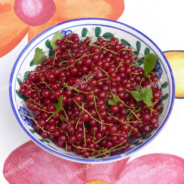 Currants Fruit Red Fruits Soft Fruit