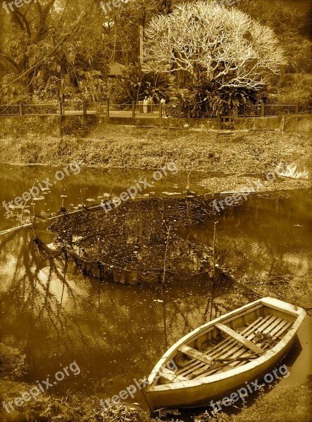 Boat River Riverbank Tree Retro