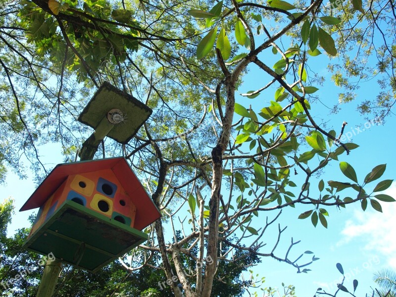 Birdhouse Tree Wooden Decoration Garden