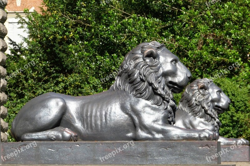 Lion Statues Figure Bronze Socket