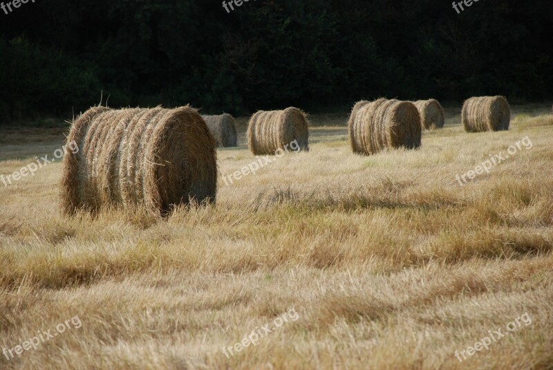 Haystack Bale Of Straw Fields Hay Straw