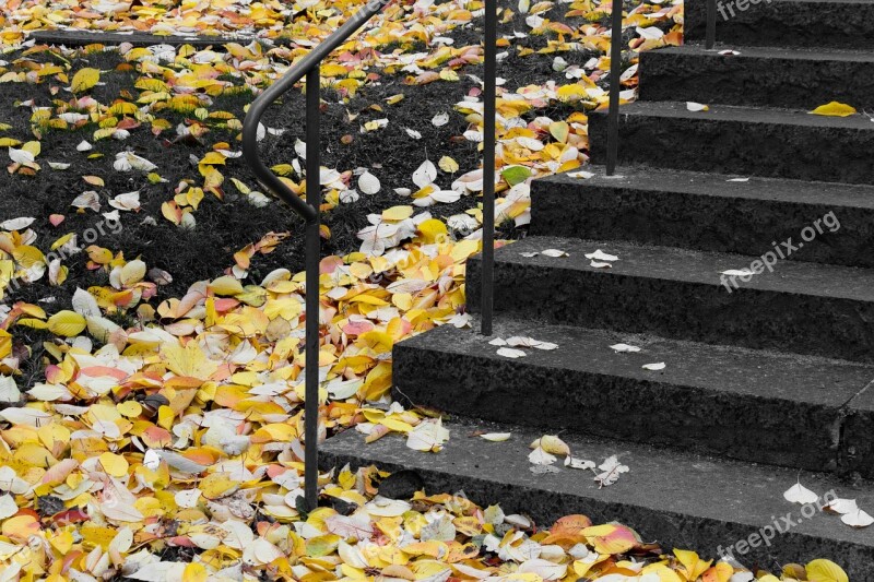 Staircase Stockholm Autumn Yellow Leaves Free Photos