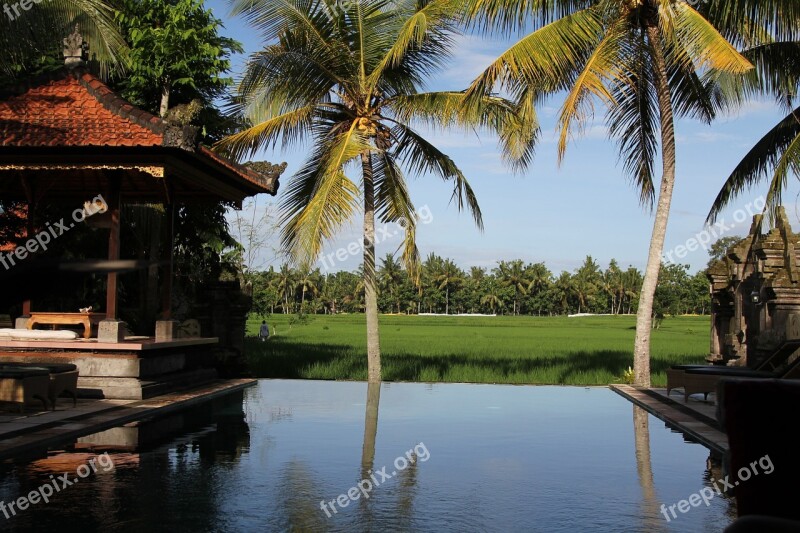 Bali Indonesia Pool Palms Resort