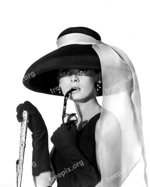 Audrey Hepburn Actress Vintage Movies Motion Pictures