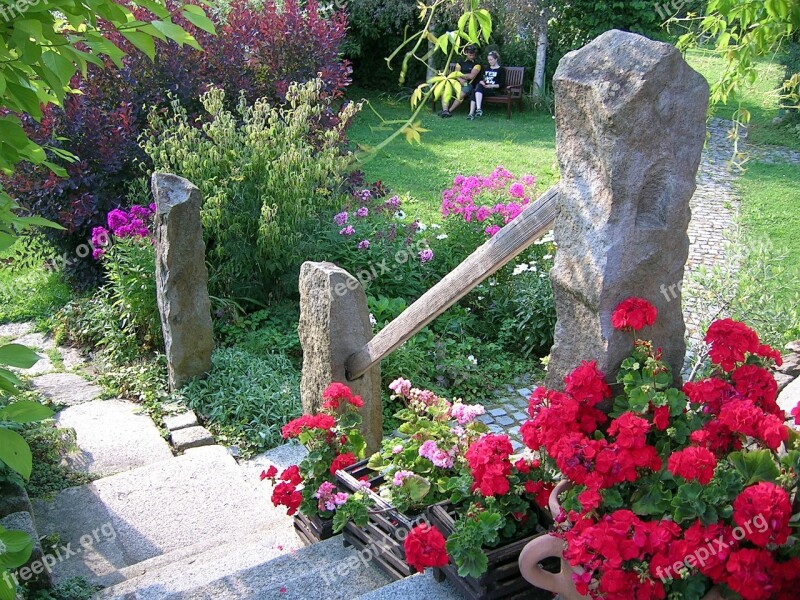 Red Flowers Garden Nature Flowers Plant