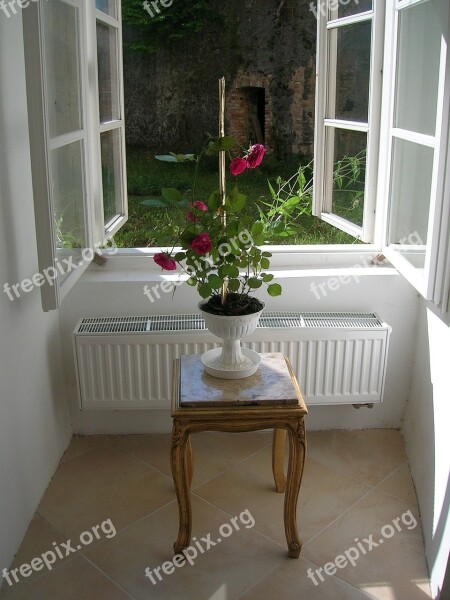 Window Roses Flowers Red Roses Romantic