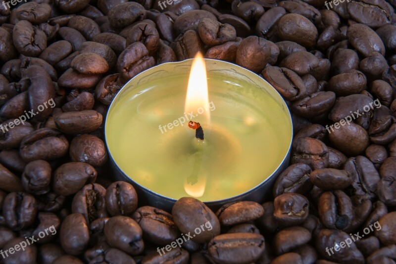 Tealight Coffee Beans Brown Still Life Breakfast