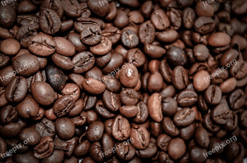 Coffee Beans Coffee The Drink Caffeine The Brew