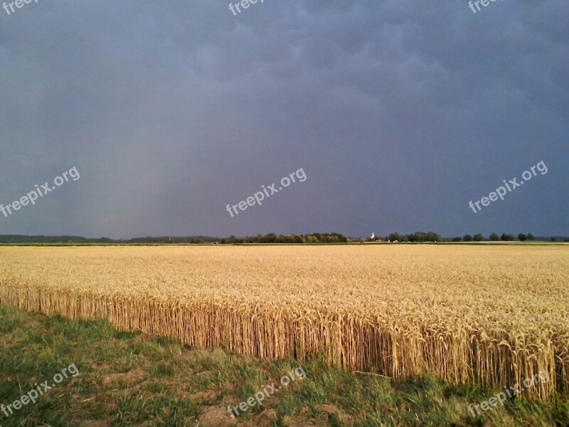 Field Thunderstorm Gewitterstimmung Free Photos