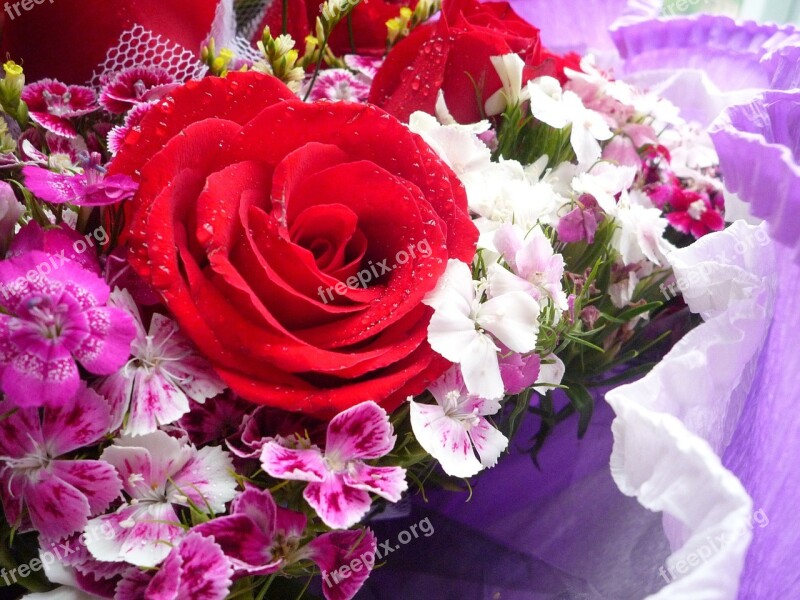 Rose Flower Bouquet Red Rose Plant