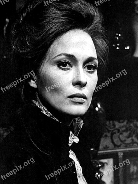 Faye Dunaway Actress Stage Movie Television