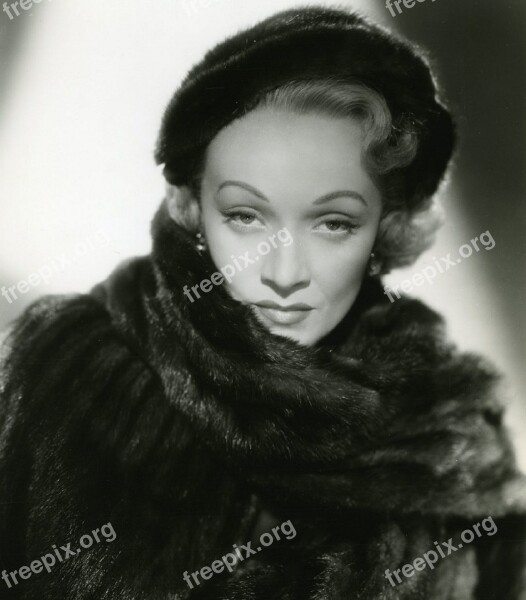 Marlene Dietrich Actress Singer Stage Movies