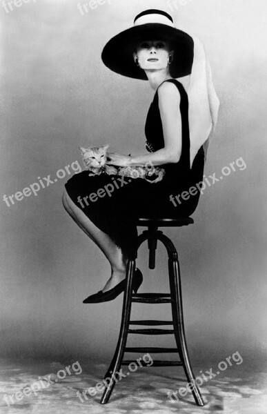 Audrey Hepburn Actress Vintage Movies Motion Pictures