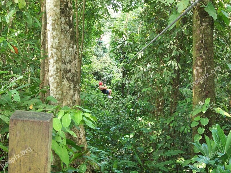 Zipline Forest Canopy Extreme Harness