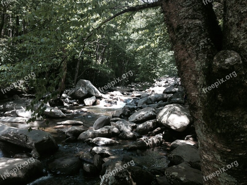 Stream Hike Outdoors Creek Mountain