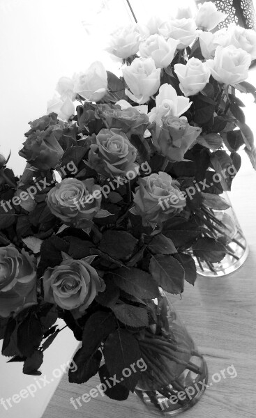 Roses Bouquet Flowers Love Floral