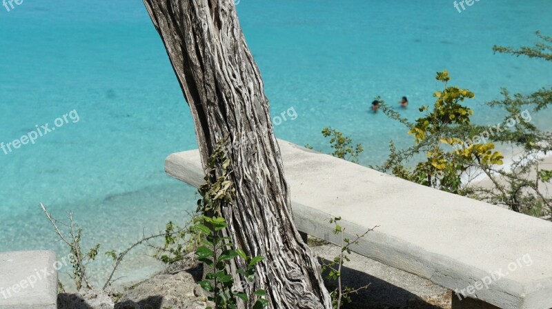 Curacao Stone Bench Tree Sea Nature