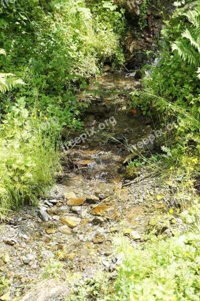 Creek Nature Bach Water Landscape