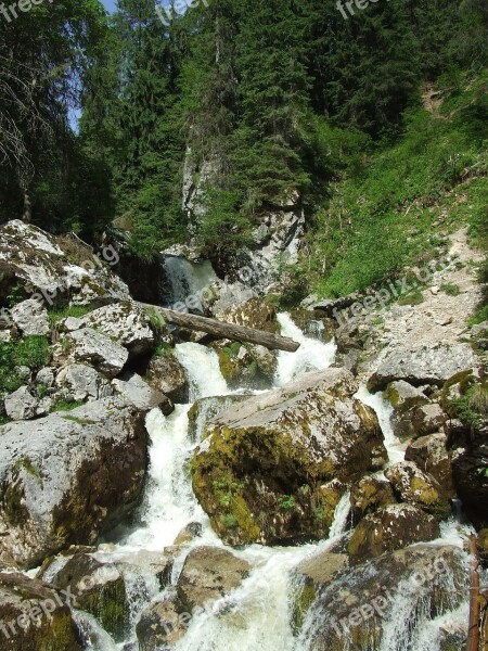 Waterfall Karst Stream Forest Nature