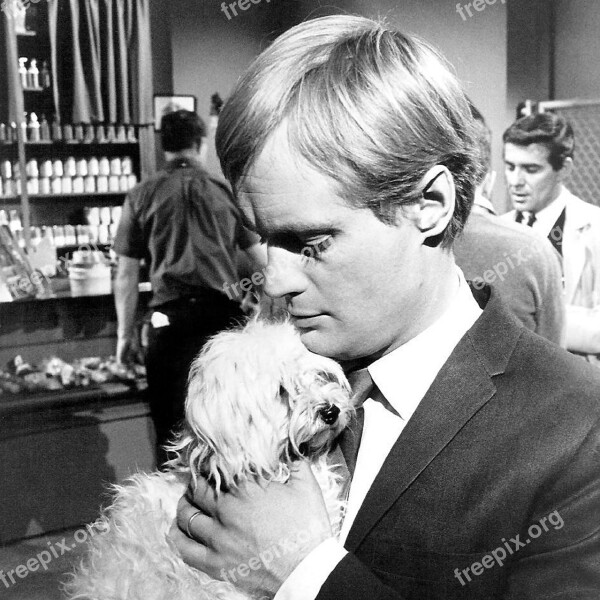 David Mccallum Actor Musician Television Series