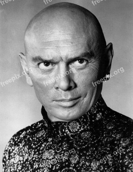 Yul Brynner Actor Film Stage Writer