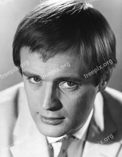 David Mccallum Actor Musician Television Series