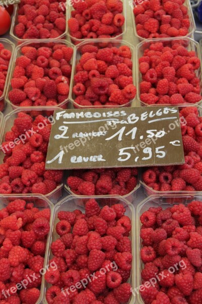 Raspberry Market Summer Fruit Free Photos