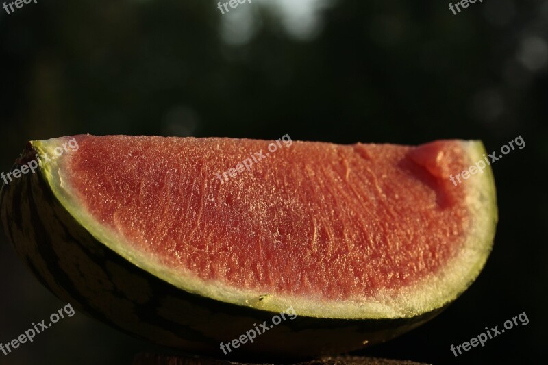 Watermelon Melon Fruit Food Delicious