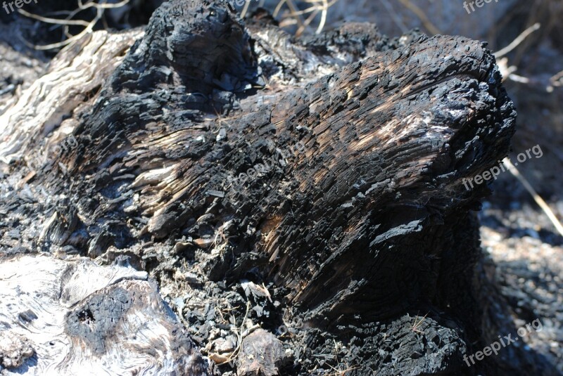 Burned Wood Ashes Free Photos