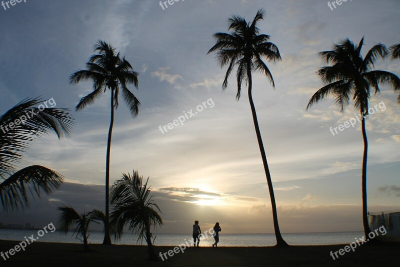 People Palms Sunset Tropical Silhouette