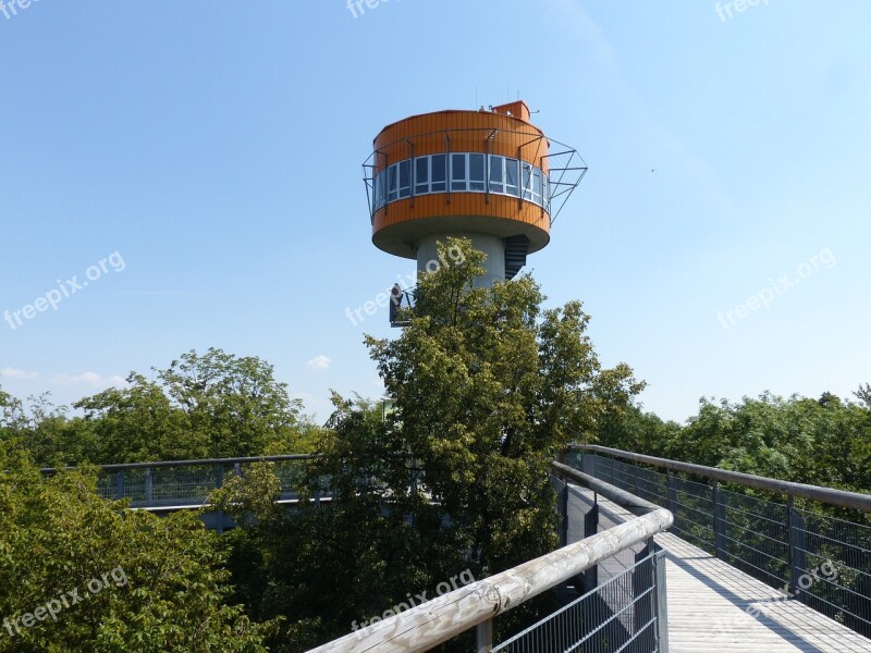 Tree Crown Path Hainich Forest Observation Tower Rondelle