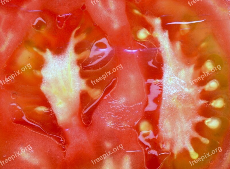 Tomato Food Healthy Fresh Vegetable