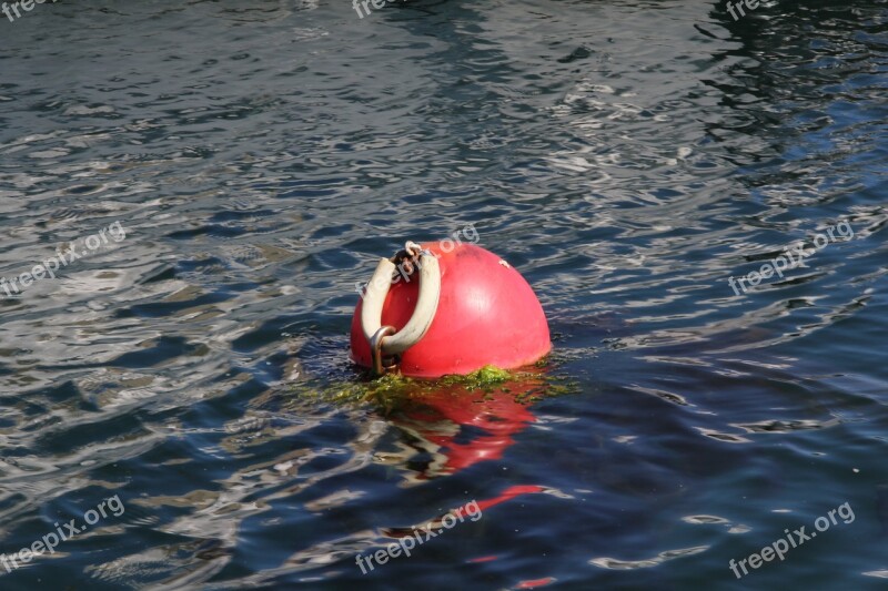 Buoy Sea Fishing Free Photos