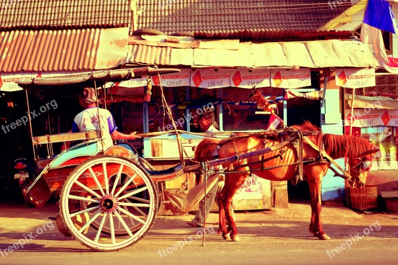 Horse Carriage Horse Rural Ancient Historic