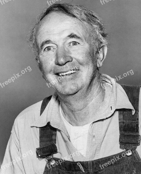 Walter Brennan Actor Character Film Television