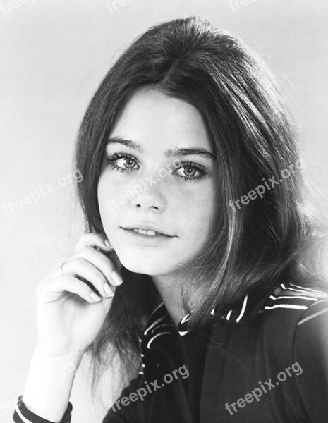 Susan Dey Actress Film Television Partridge Family