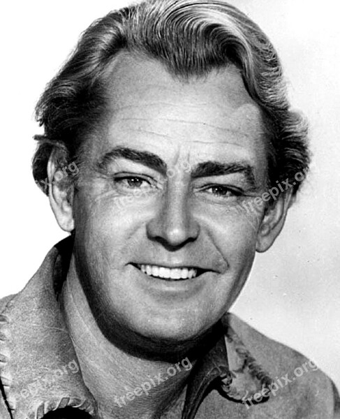 Alan Ladd Actor Film Television Producer