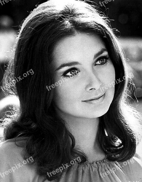 Suzanne Pleshette Actress Movies Tv Films