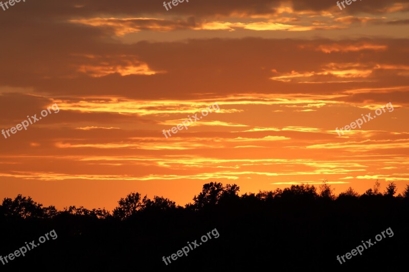 Sunset Edge Of The Woods Sky Free Photos