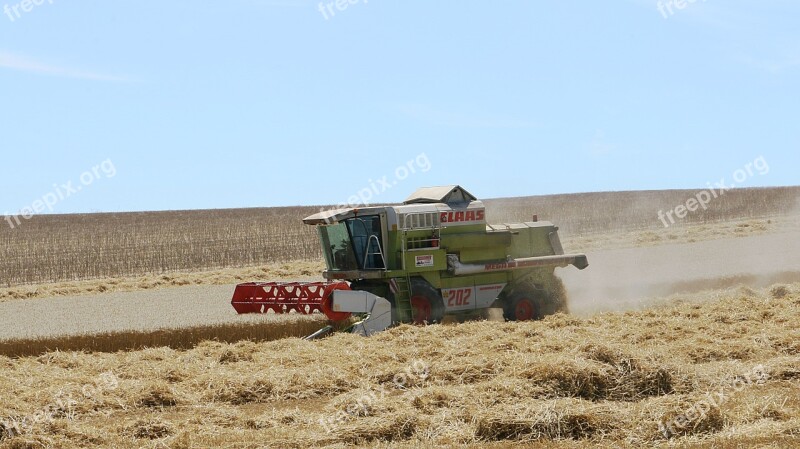 Field Landscape Sky Agriculture Harvest