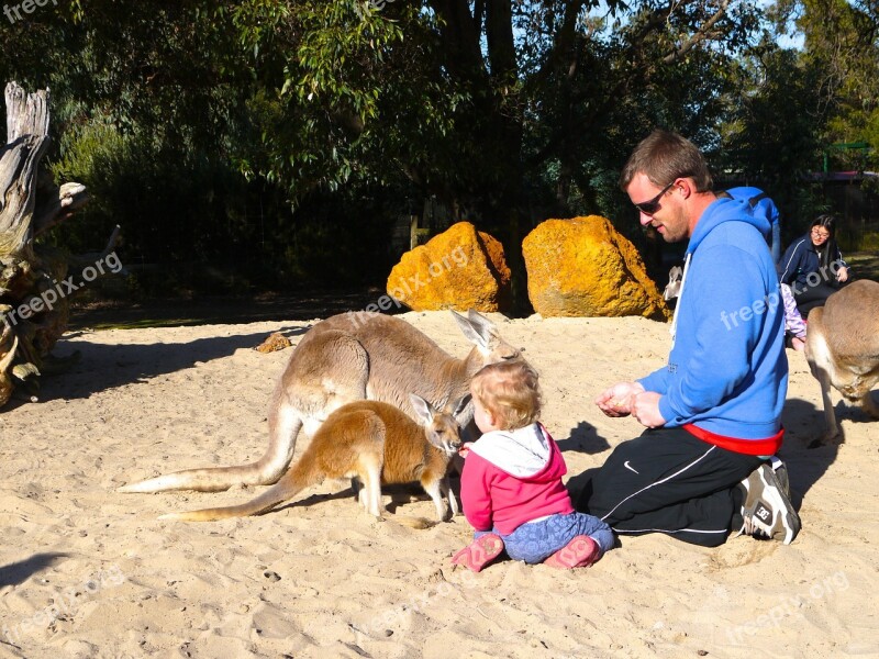 Man Person Child Feeding Zoo