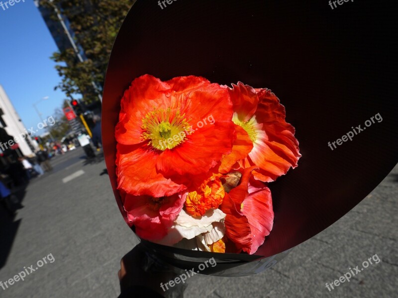 Flower Selling Red Flora Free Photos