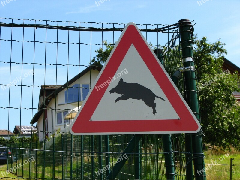 Street Sign Boar Attention Cross Risk